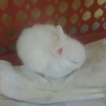 สุภัสสร โพธิ์ทอง profile icon