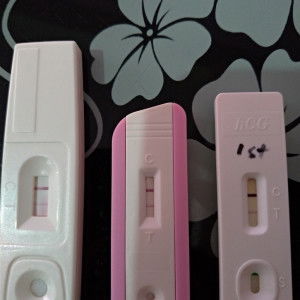 samantha ysabelle profile icon