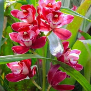 Misna Wati profile icon