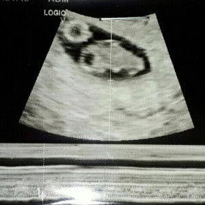 Monique Sacamos profile icon