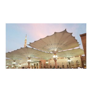 putrisepditya profile icon