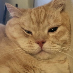 กรองขวัญ profile icon