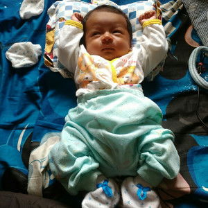 Ina Alfianis profile icon