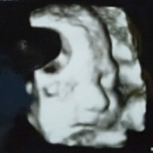 Is Sulistyaningtias Pawestri profile icon