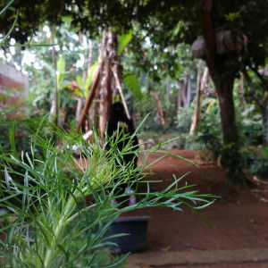 mom's QnQ profile icon