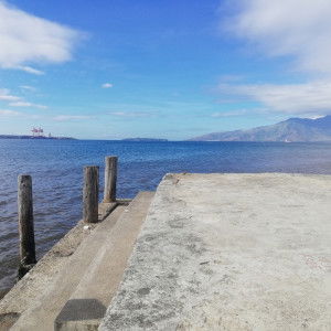 rachelle profile icon