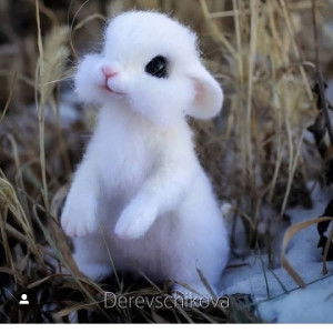 aulia eka profile icon