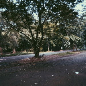 Maryati profile icon