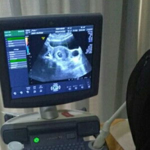 Primamm profile icon