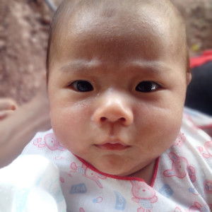 nim8098 profile icon