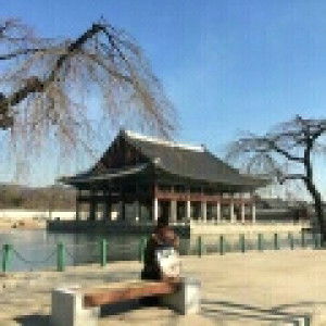 Annisa Amwar R profile icon