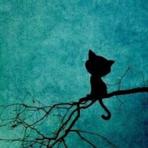 Unknown profile icon