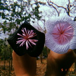 Prisana Janda profile icon