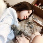 Sorn Apittha profile icon