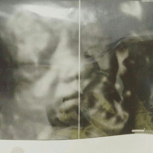 bolt bolt profile icon