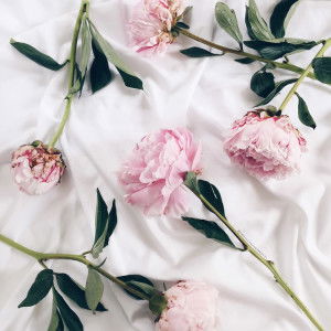 Siti saadah profile icon