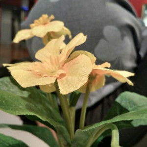 Anisah Taufiqur Rokhmah profile icon