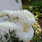 Dewi Fathanah profile icon