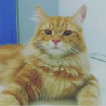 Bebet profile icon