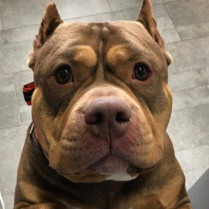 แนท profile icon