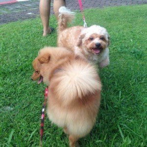 Pratumporn Thepnarpng profile icon