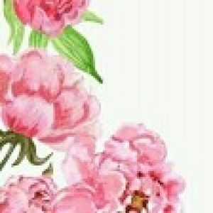 Ummu Nazil profile icon