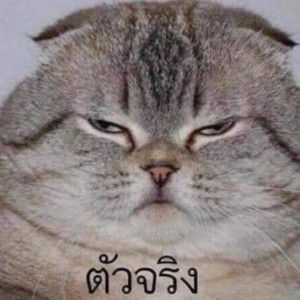 pongprai profile icon