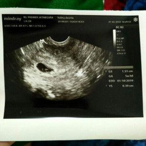 helmy desnita profile icon