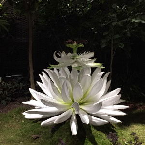 Arabella profile icon