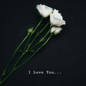 Bee Ramadhan profile icon