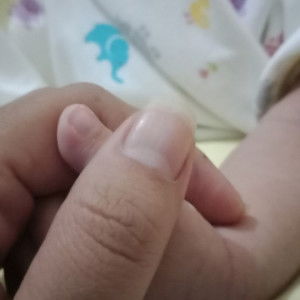 Dian Ardiani profile icon