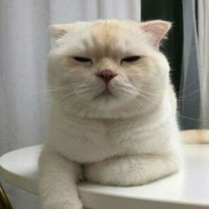 Misis Reyes profile icon