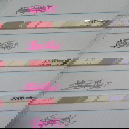 ตรวจใข่ตก