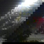 prihati anunggraheni profile icon