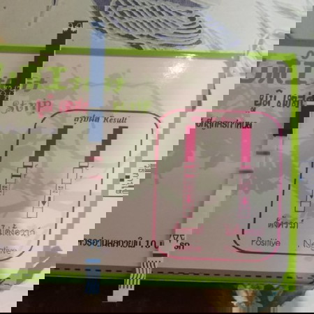 ลุ้นลูกแฝด