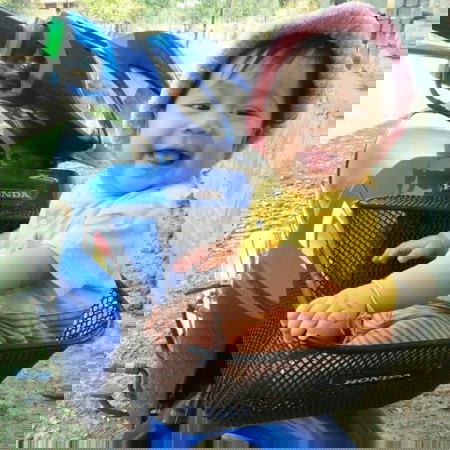 นม