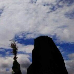 Nur Siti profile icon