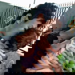 Az zahrah profile icon