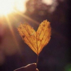 Norhaya Macarambon profile icon