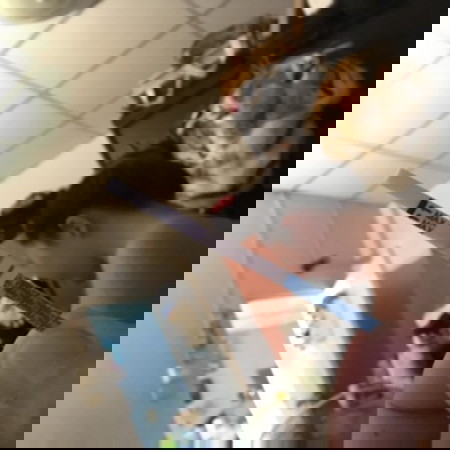 นั่งรถเดินทางบ่อยจะแท้งมั้ยคะ+ไปตรวจที่รพ.แล้วแต่หมอฝากครรภ์ไม่อยู่ เลยไม่ได้ฝากครรภ์ จะเป็นไรไหมคะ