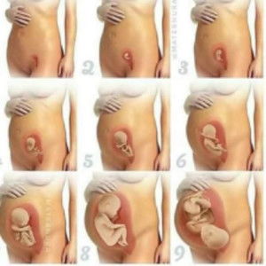 ริน profile icon