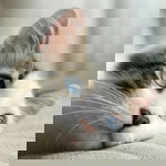 คุณแม่มือใหม่ profile icon