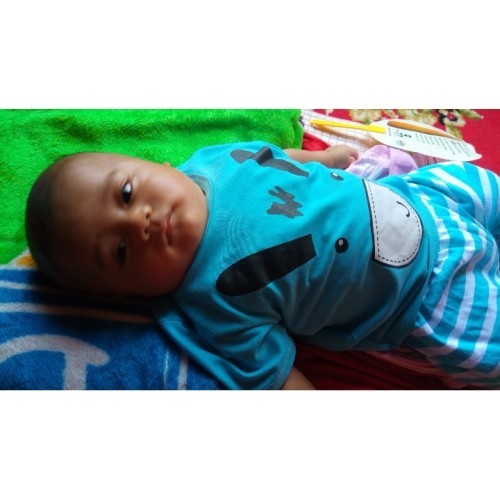 Bayi Diet ??