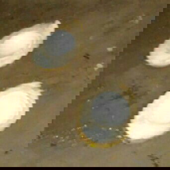 mitos atau fakta  selebih ny hanya allah yg lebih tau ??