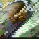 Nurlaely Ramdhaniyah profile icon