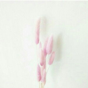 nita nk profile icon