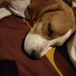 ต้องทนอีกนานแค่ไหน profile icon