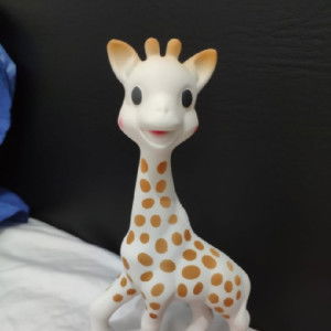 S. A. Husna profile icon