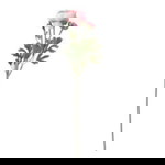 Tri Silvia profile icon