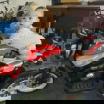 Chariensin Ratanaporn profile icon